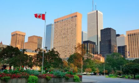 Scholarship Opportunities for International Students in Canada with PR Status