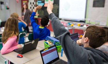 What Role Do Textbooks Play in Modern Classrooms