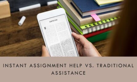 which-is-best-instant-assignment-help-vs-traditional-assistance
