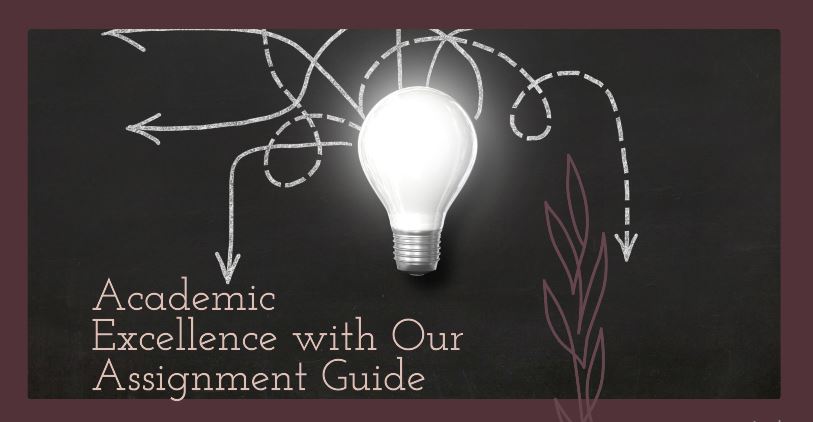 Academic Excellence with Our Assignment Guide