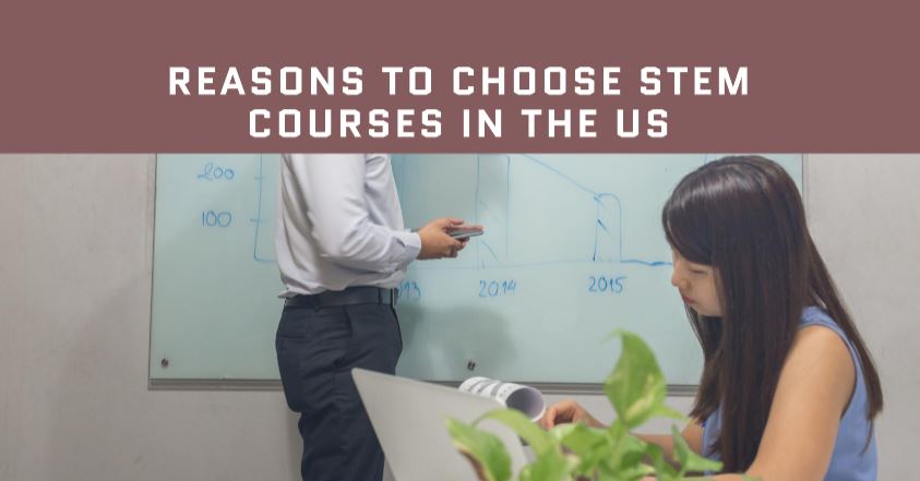 From Silicon Valley to Global Opportunities: Top Reasons to Choose STEM Courses in the US