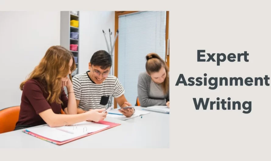 Assignment Writing Service for Common Professional Examination Graduate Diploma in Law