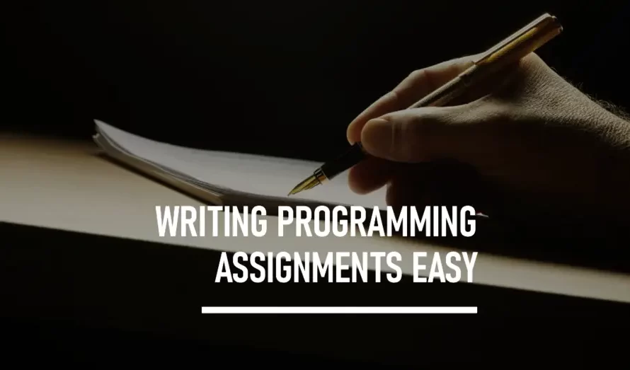 6 Essential Guidelines To Make Writing Programming Assignments Easy